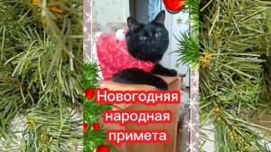 Кошки с озвучкой. Новогодняя примета.