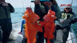 Камчатка. Большая рыбалка.