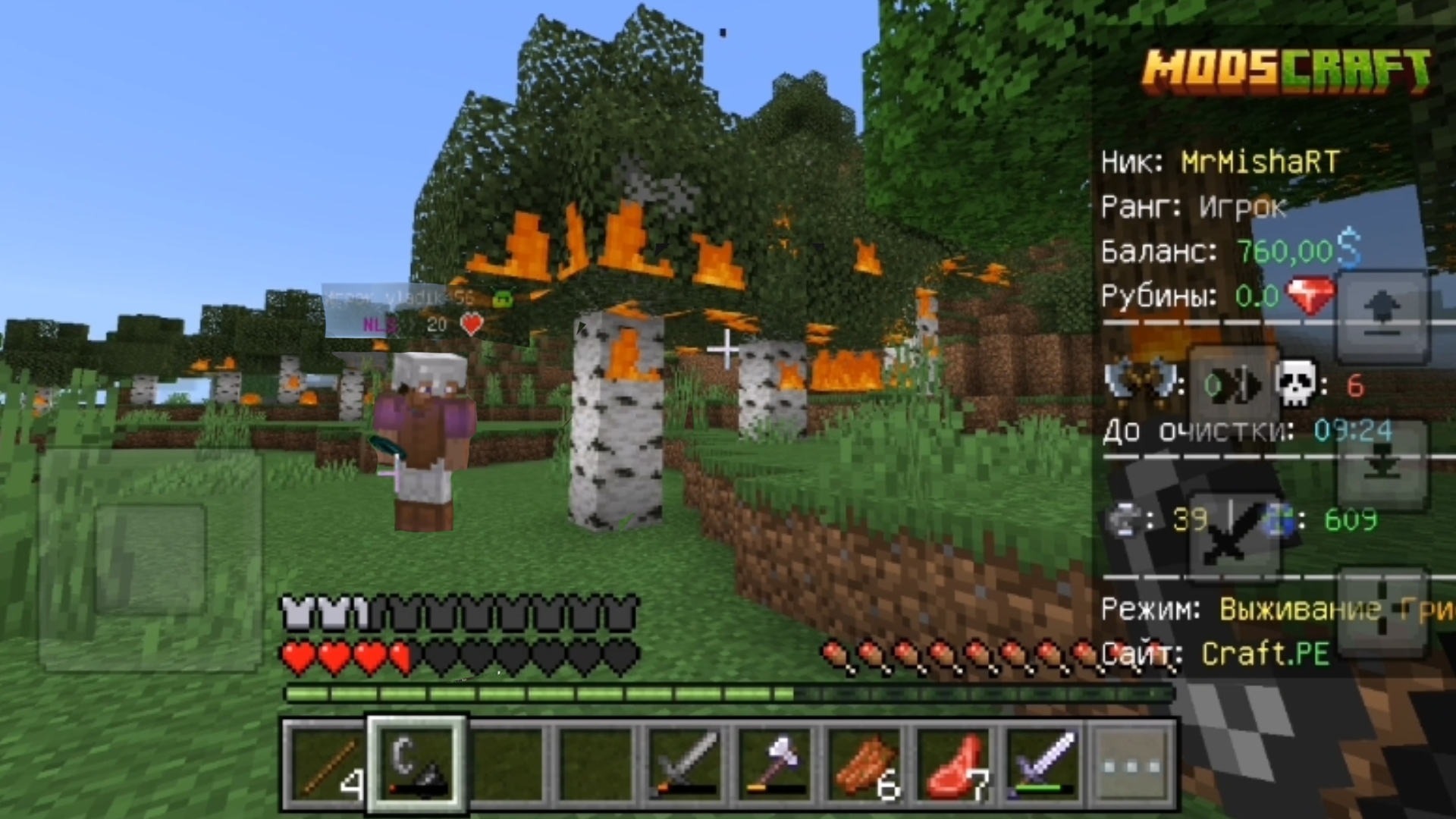 (Shorts)Сжёг лес со своим тимейтом|Ожигание на ModsCraft 25Часть