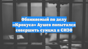 Обвиняемый по делу «Крокуса» Аушев попытался совершить суицид в СИЗО