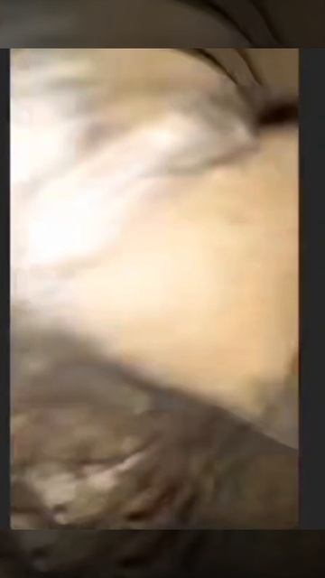 охота на охотника.Местные подкараулили и забили тцкашники смотреть онлайн