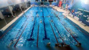 Первенство Московской академии плавания Юг 2 день