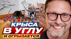 Шарий:  Крыса в углу и огрызается