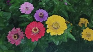 Наш любимый огород в деревне! Сезон 2025!