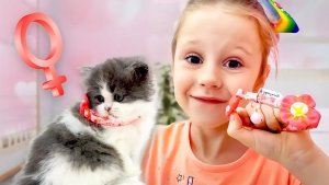 Лайк Настя Папа и друзья! Сборник лучших видео для детей