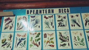 Почти забытые истории - Юшинская контора. Костяев ТВ.