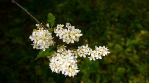 люблю и ненавижу.