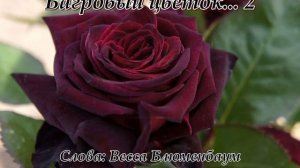 Багровый цветок... 2(Слова Вессы Блюменбаум)