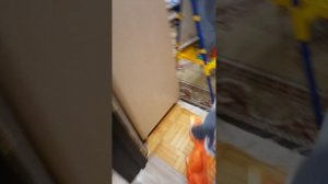 99 ночей в лесу