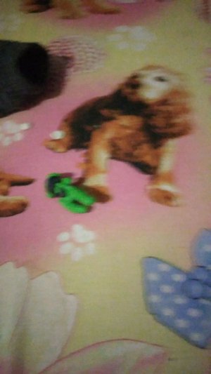 Только 8 лет 9 лет и 10 лет