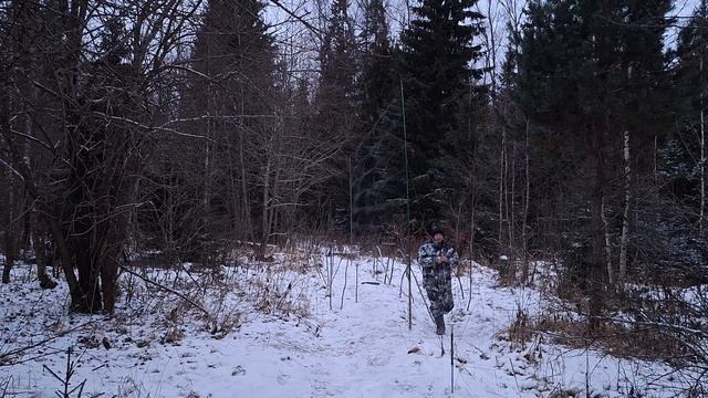 1000052704.mp4 смотреть онлайн