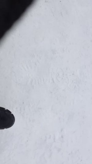 Идём вместе с фани