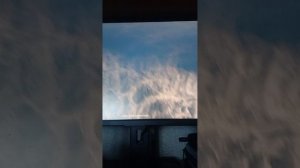 прикольные моды которые я скачал в terdown