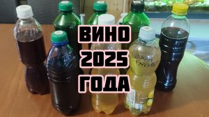 Первая дегустация своего вина разных купажей 2025 года