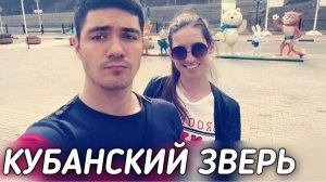 «ЗАДУШИЛ ЖЕНУ А ДОЧЬ ВЫКИНУЛ СОБАКАМ» | Кошмар в столице Кубани