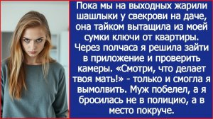 Пока мы жарили шашлыки у свекрови на даче, она тайком вытащила из моей сумки ключи от квартиры.