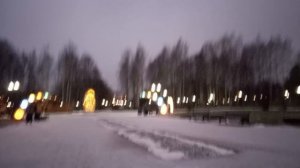 1000010379.mp4.  " снежок посыпал снегом пухом , хрустит маняще под ногами...