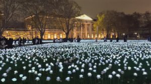 Англия. Рождественский тур 2025 по району Челси в Лондоне