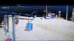 Волонтера возле приюта насмерть сбила начинающая водитель на пешеходном переходе