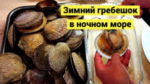 Море ушло а ракушки остались! Ночная собиралка