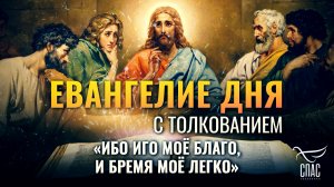 «Ибо иго Моё благо, и бремя Моё легко» / Евангелие дня