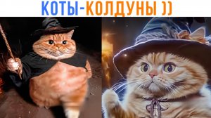 КОТЫ-КОЛДУНЫ ))) Приколы | Мемозг 1698