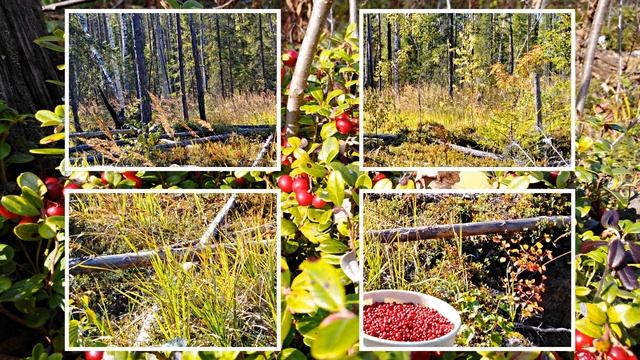 9-Проект Дом родной п.Гыркашор 2019г.