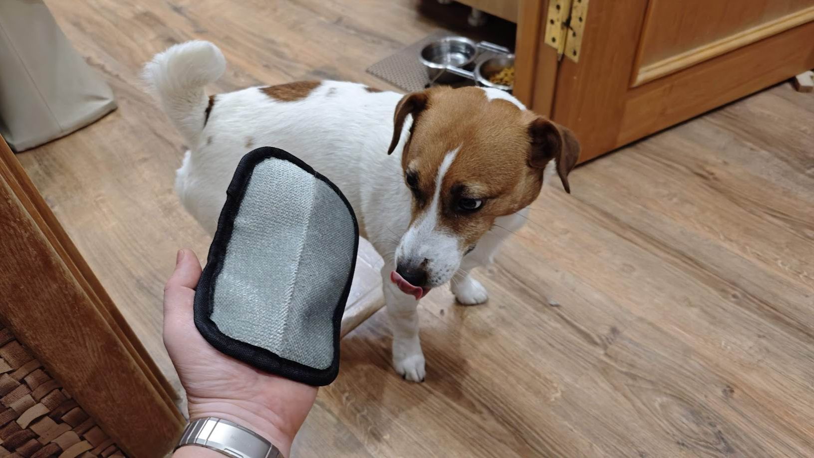 Чудо-тряпка для очистки вещей от шерсти смотреть онлайн