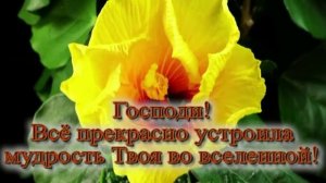 Господи, милость Твоя!