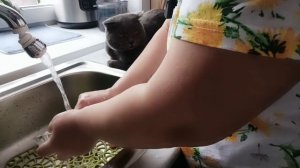 Планы на новый год. ночной вид из окна сказочный.