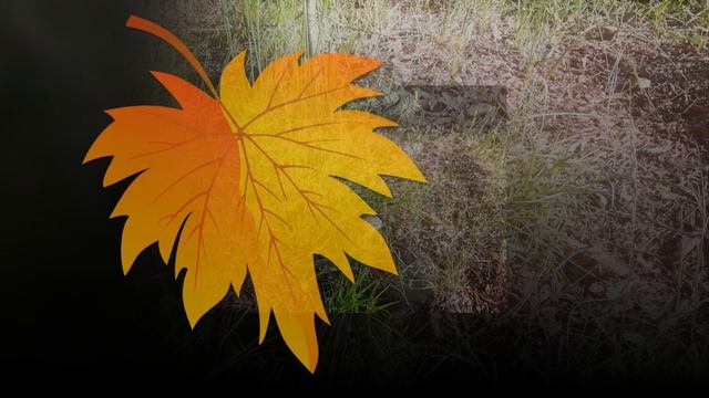 12-Проект Край родной 1080р