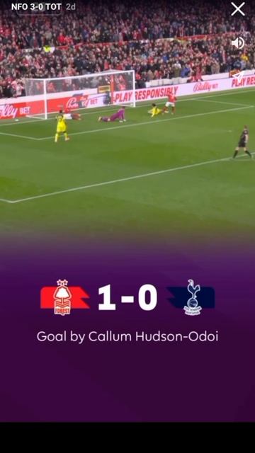 Ноттингем Форест-Тотенхэм