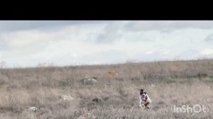 Кузя и Едан. 17.12. 25.