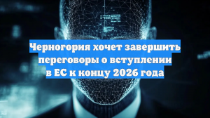 Черногория хочет завершить переговоры о вступлении в ЕС к концу 2026 года