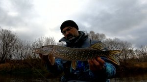 Щука на свимы. Сплавы в октябре по малой речке.