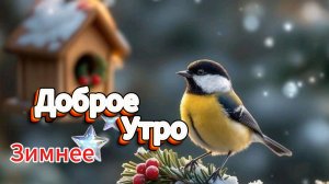 Доброе зимнее утро - ловите позитив