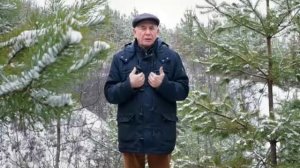 06 Бальзам для позвоночника. Станислав Лосев_ Снятие негативных программ