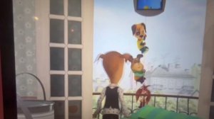 684045243_456239169.mp4