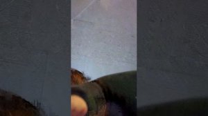 Всем привет