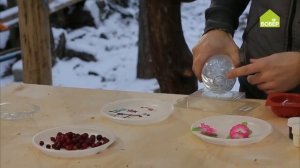 Гирлянда из ледяных украшений. Как сделать оригинальное украшение для сада своими руками