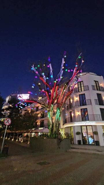 Дерево с футуристической подсветкой в Геленджике смотреть онлайн