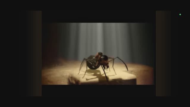 Муравьиная стая (украшение стола)