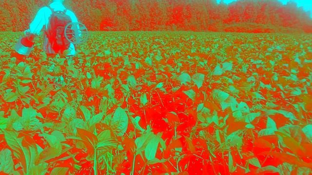 леший смотреть онлайн