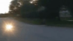 Водитель дальнобойщик