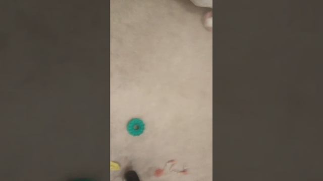 влог с Алисаи смотреть онлайн