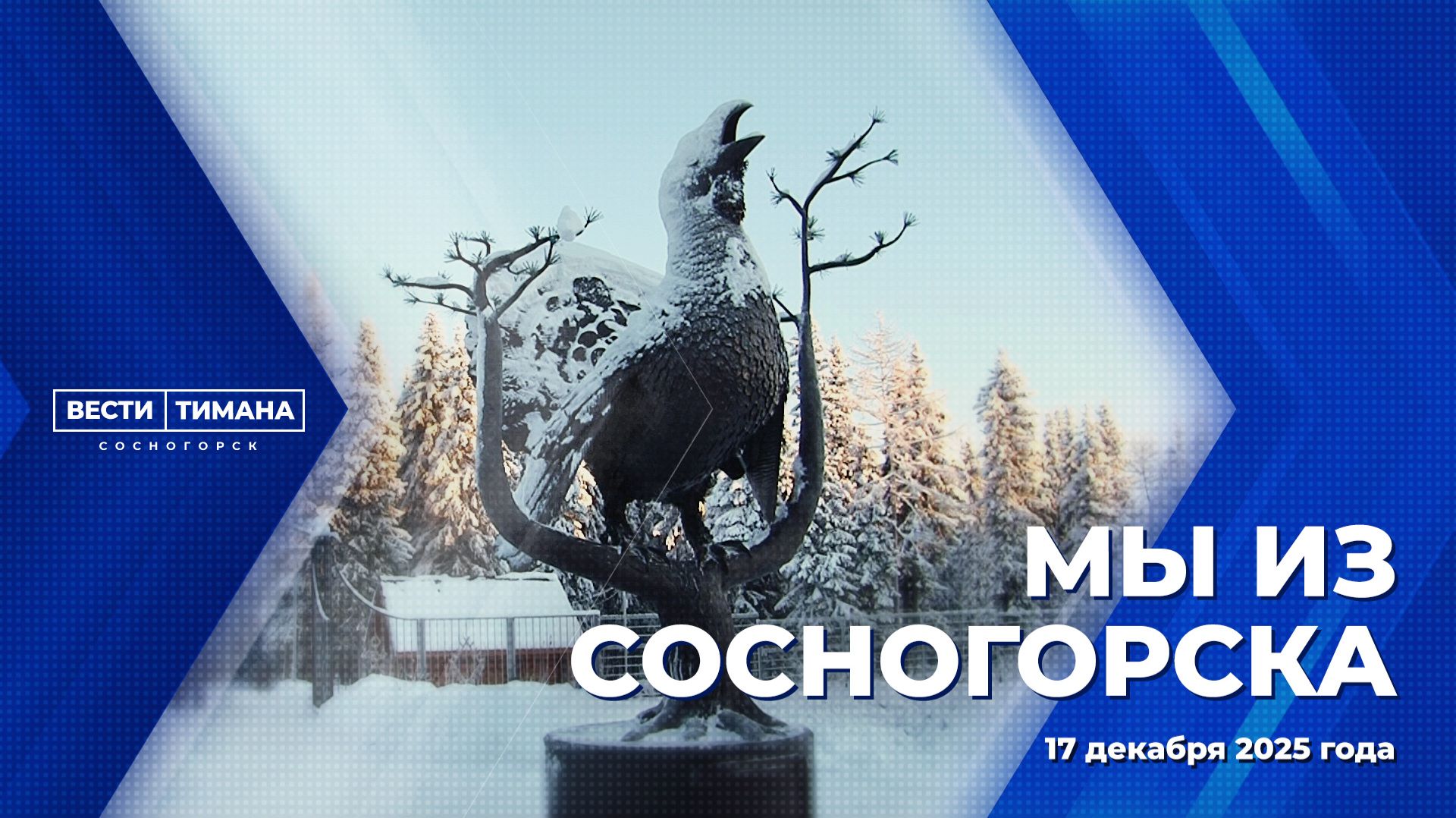 Мы из Сосногорска смотреть онлайн