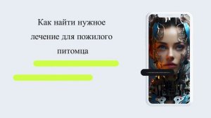 Как найти нужное лечение для пожилого питомца