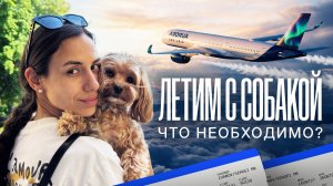 Путешествуем с собакой по Европе. Полезное руководство для владельцев!