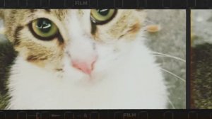 СТАМБУЛ моими глазами / ISTANBUL aesthetic video