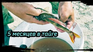 5 МЕСЯЦЕВ в ТАЙГЕ. р. Тым, с. Напас, Работа, рыбалка, Окунь.  Сезон 2025 Серия № 8.